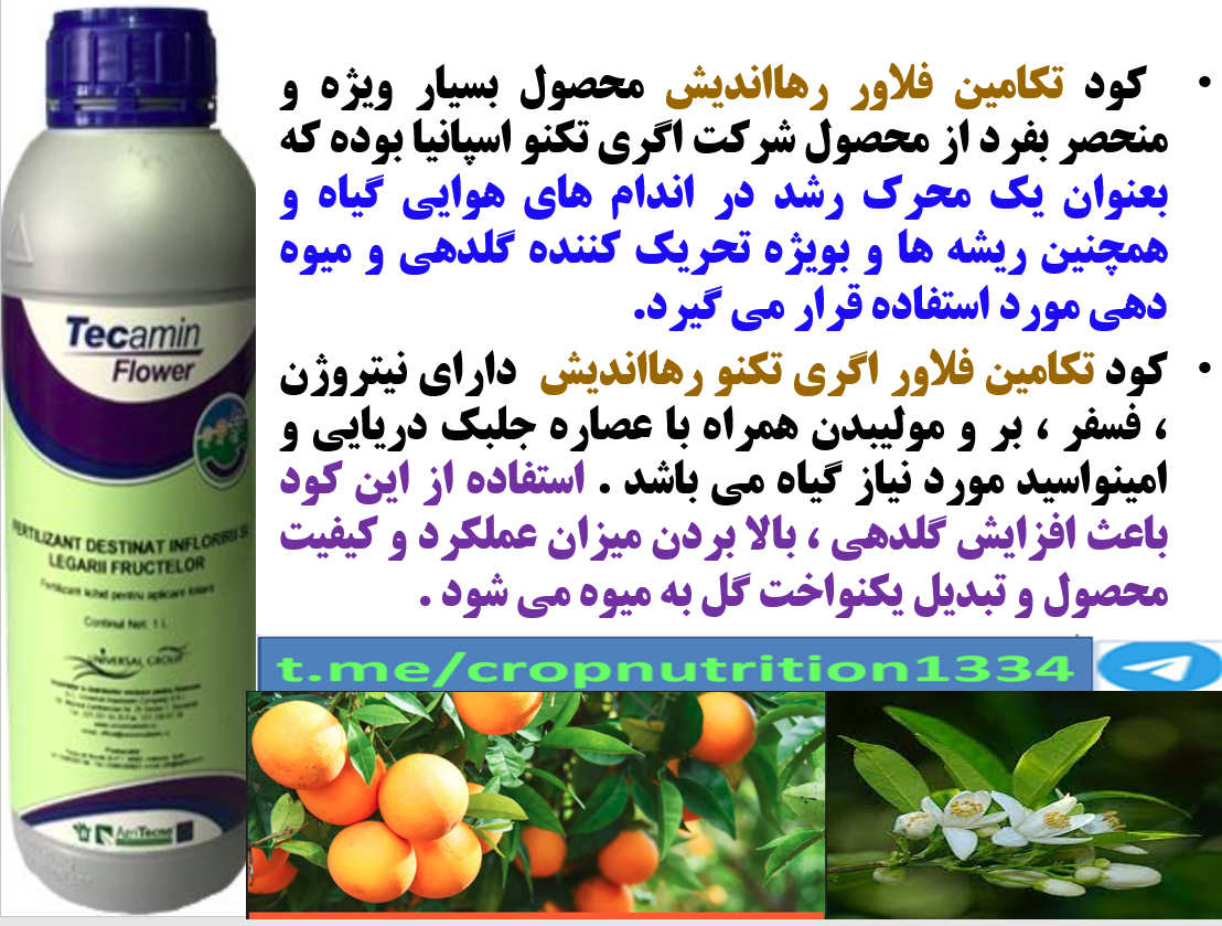 اثر مهم کود آلی تکامین فلاور رهااندیش در تقویت درختان مرکبات – قسمت سوم 160