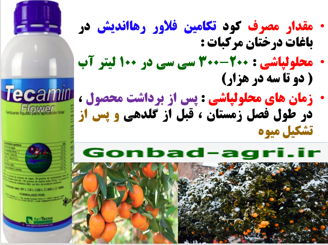 اثر مهم کود آلی تکامین فلاور رهااندیش در تقویت درختان مرکبات – قسمت دوم 161