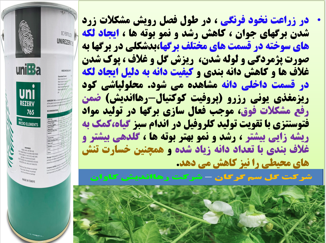 تاثیر کود یونی رزرو یا پروفیت کوکتیل رهااندیش در افزایش تولید نخود فرنگی - قسمت اول 159
