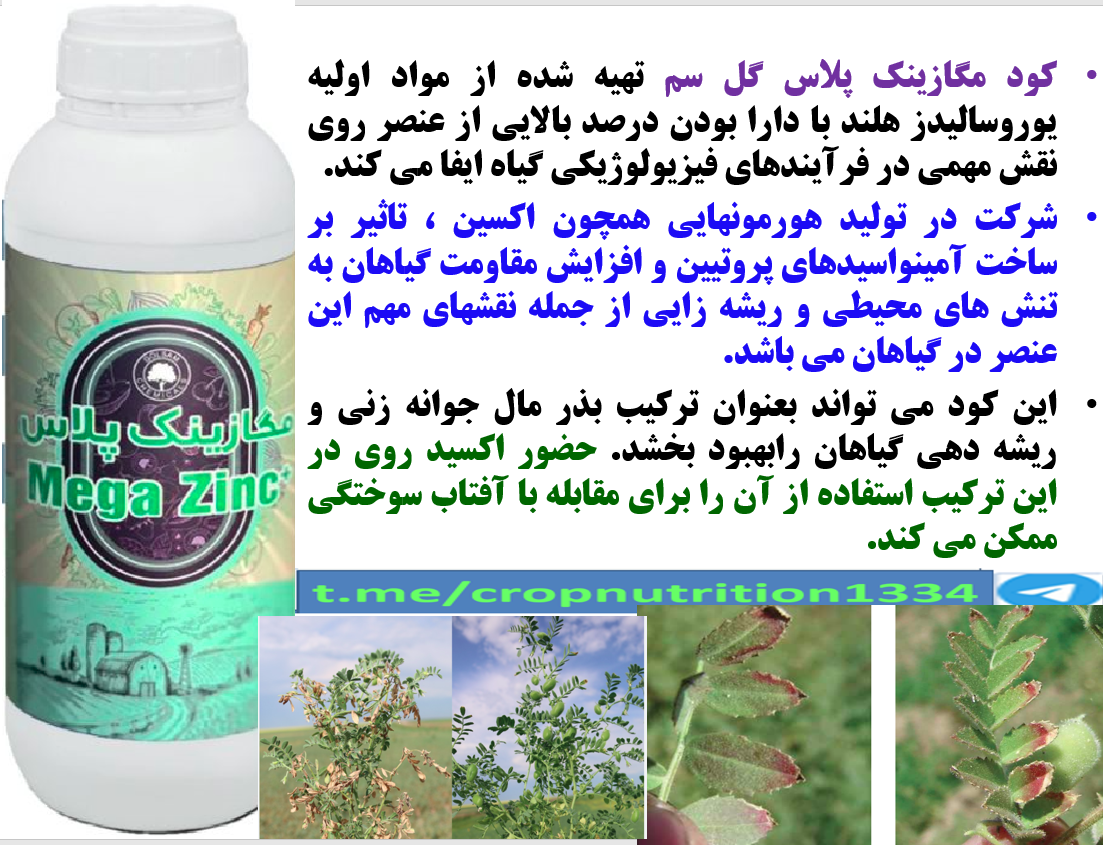 کود روی مگازینک پلاس گل سم برای بذرمال نخود معمولی – قسمت سوم 154