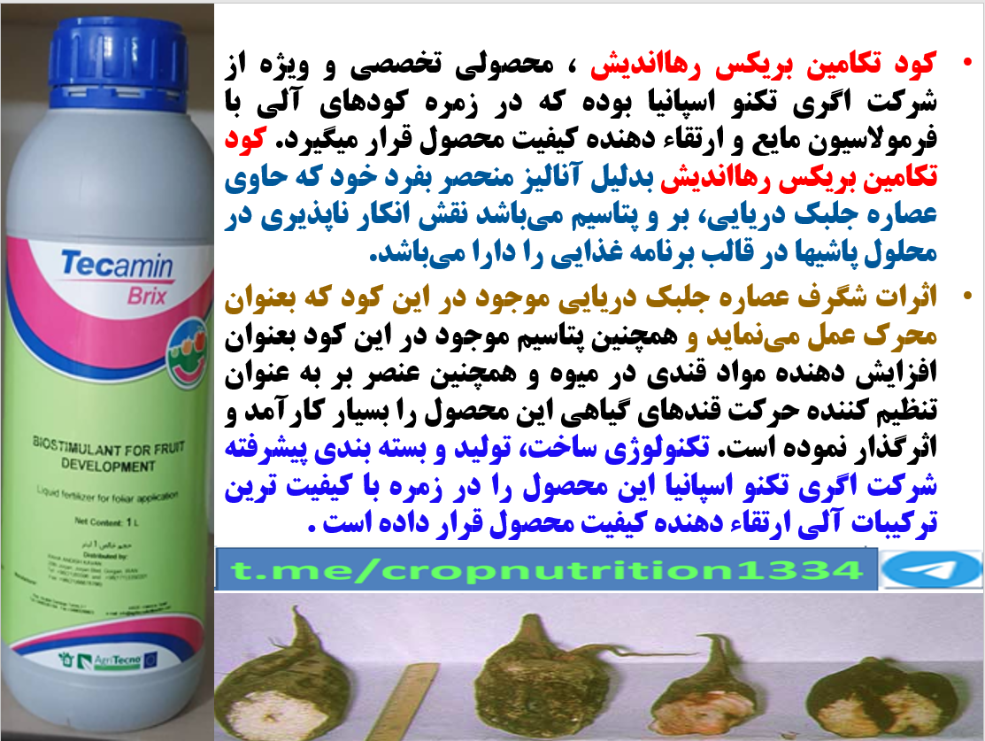 افزایش میزان و عیار قند در چغندر با کود آلی تکامین بریکس رهااندیش – قسمت سوم 115