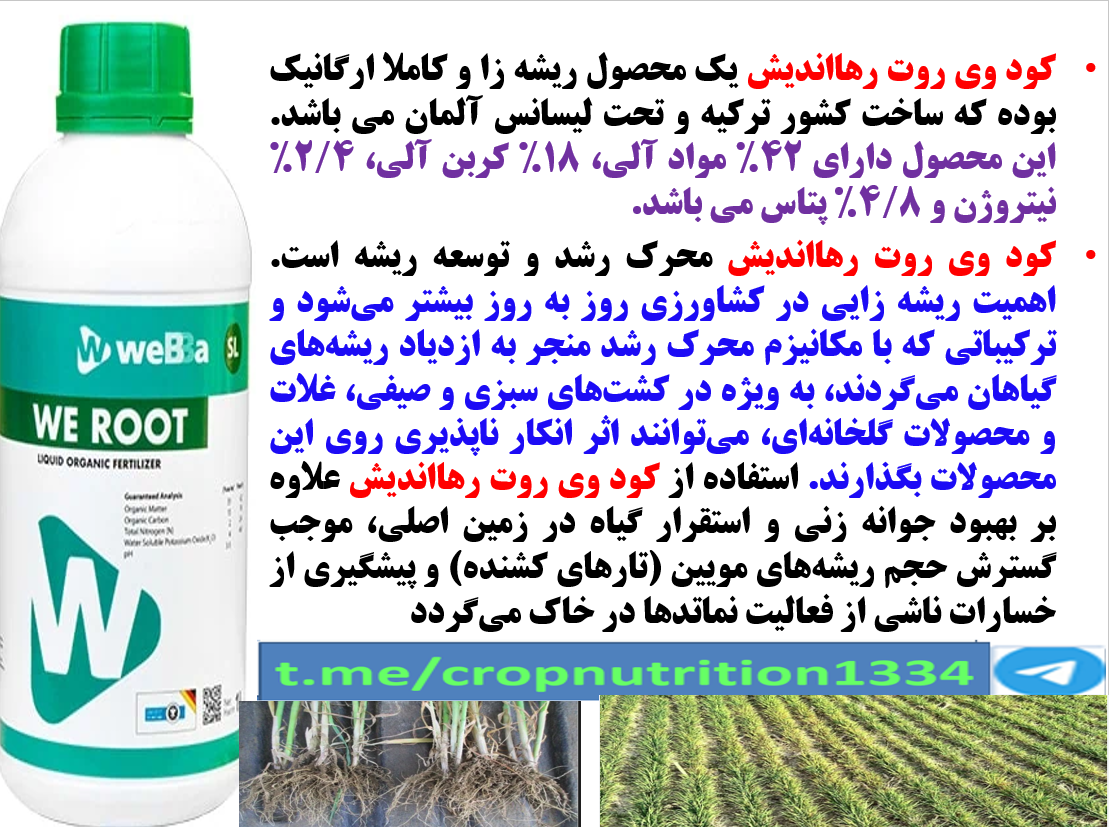 تقویت ریشه دهی بوته های گندم و جو با کودآلی وی روت رهااندیش – قسمت سوم 121