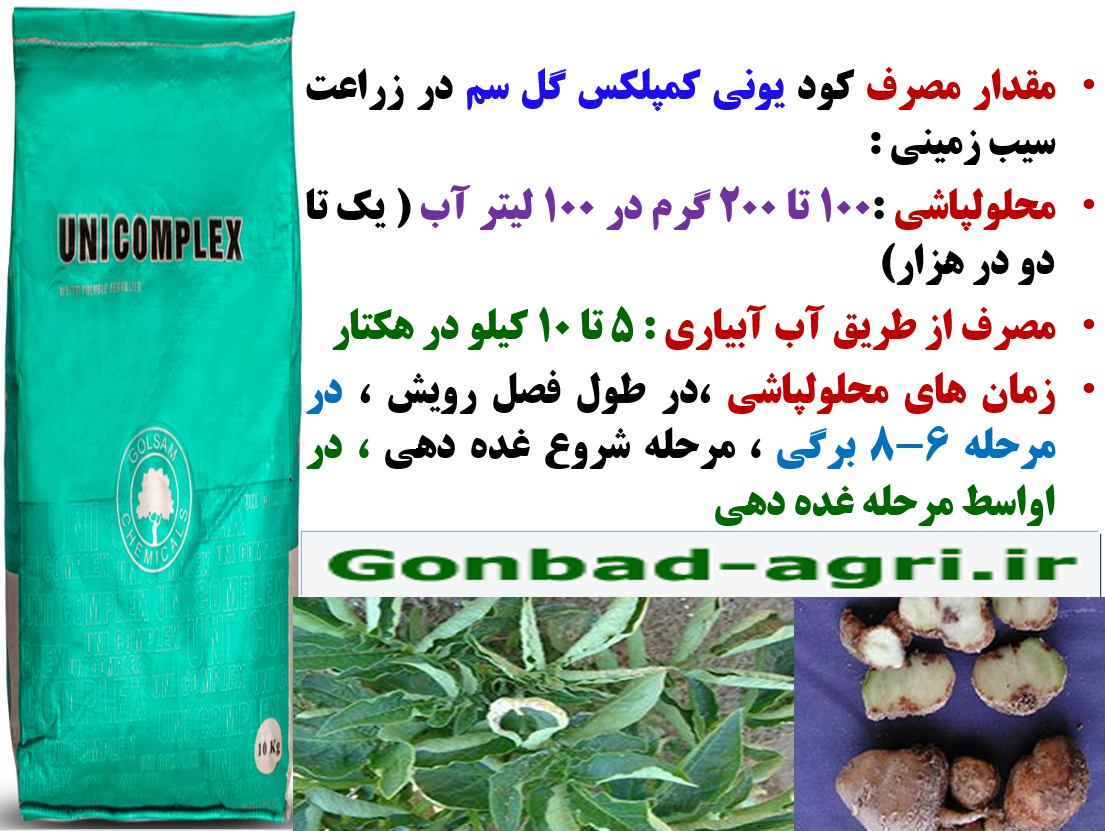 تاثیر کود یونی کمپلکس گل سم در افزایش تولید و کیفیت غده سیب زمینی – قسمت دوم 134