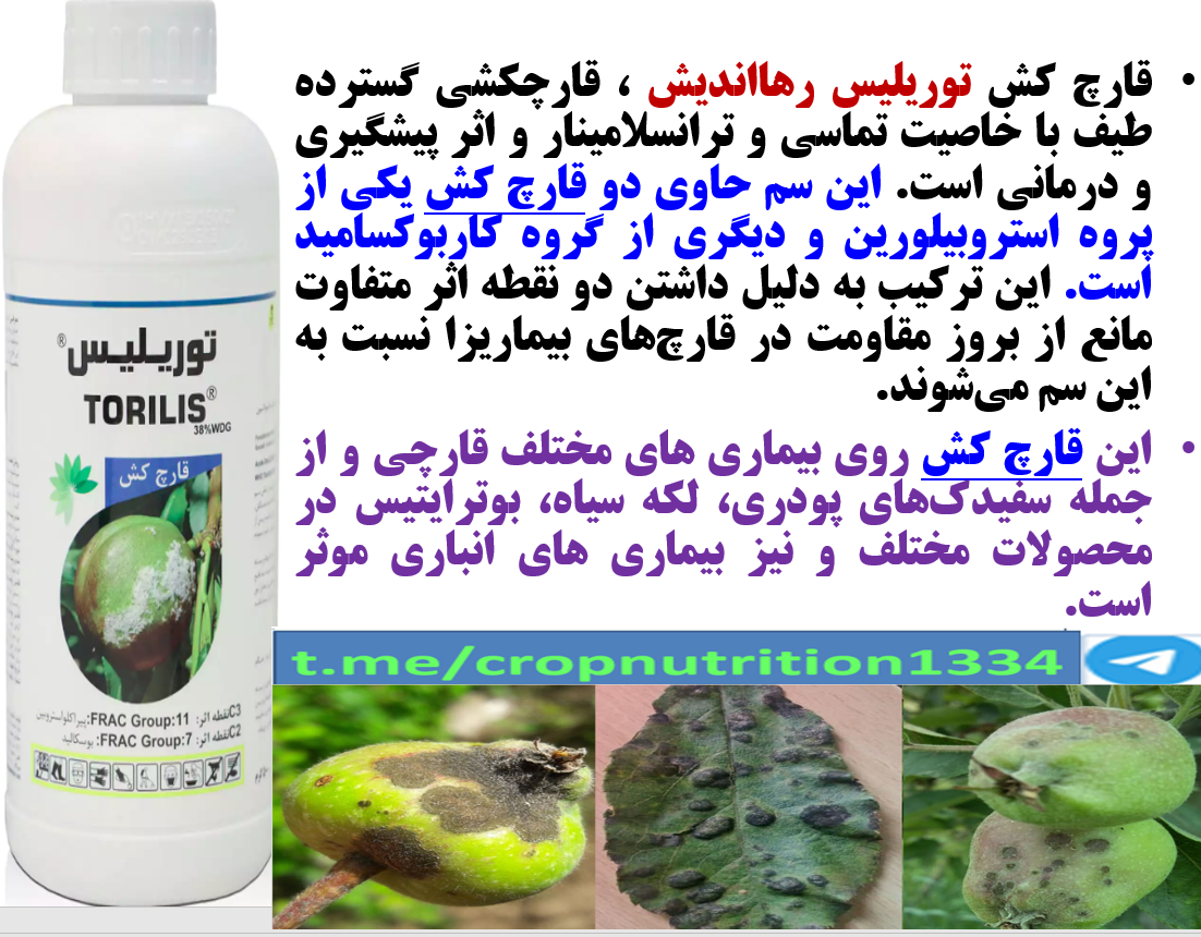 کنترل بیماری های درختان سیب و گلابی با قارچکش توریلیس رهااندیش- قسمت سوم 124