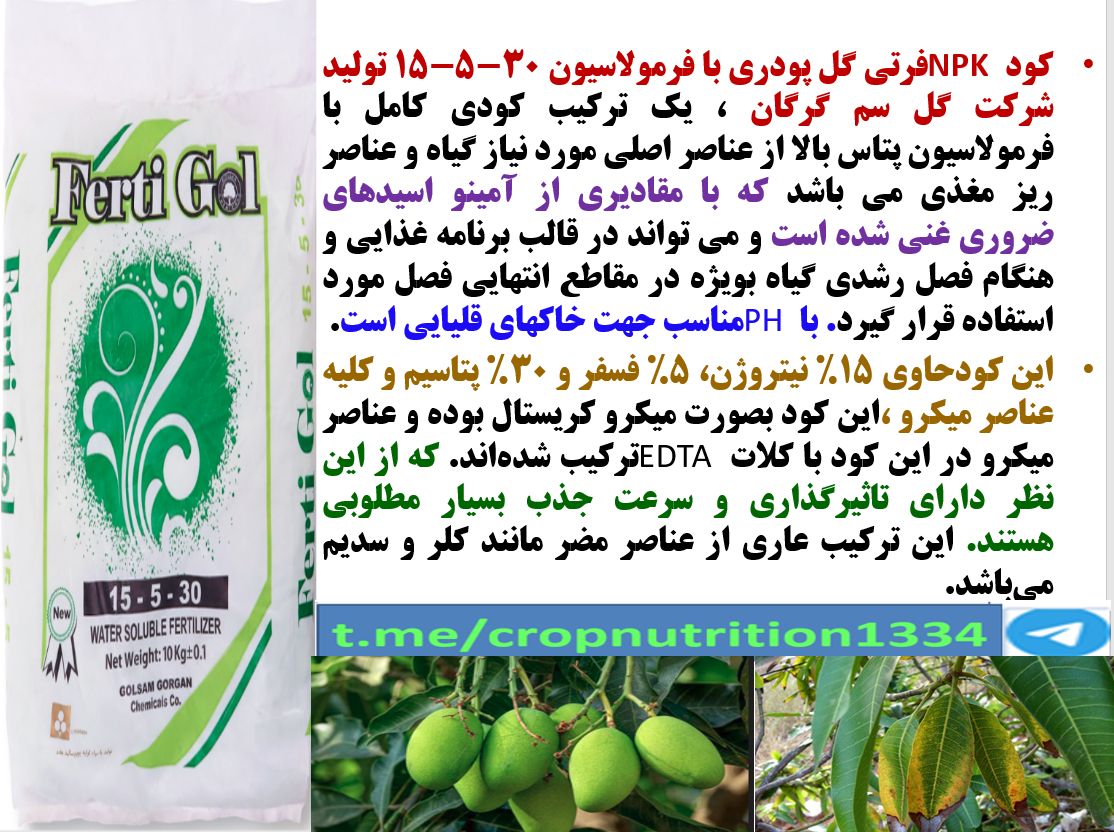 افزایش گلدهی و میوه دهی درختان انبه با کود فرتی گل ۳۰-۵-۱۵ گل سم – قسمت سوم 136