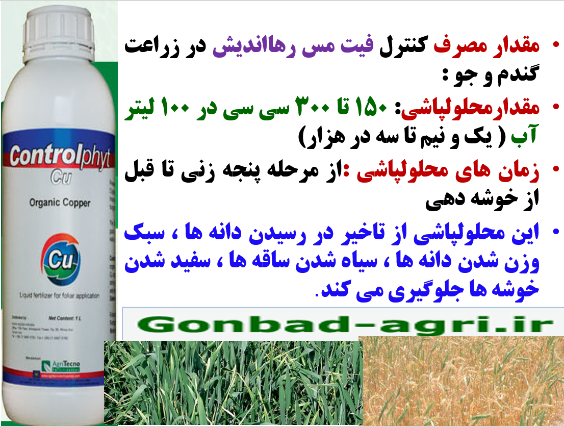 اهمیت کاربرد کود کنترل فیت مس در زراعت گندم و جو – قسمت دوم 110