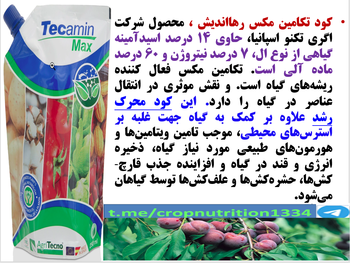 تاثیر کود تکامین مکس رهااندیش در شروع رشد جدید در باغات درختان میوه ]لو و هلو- قسمت سوم 112