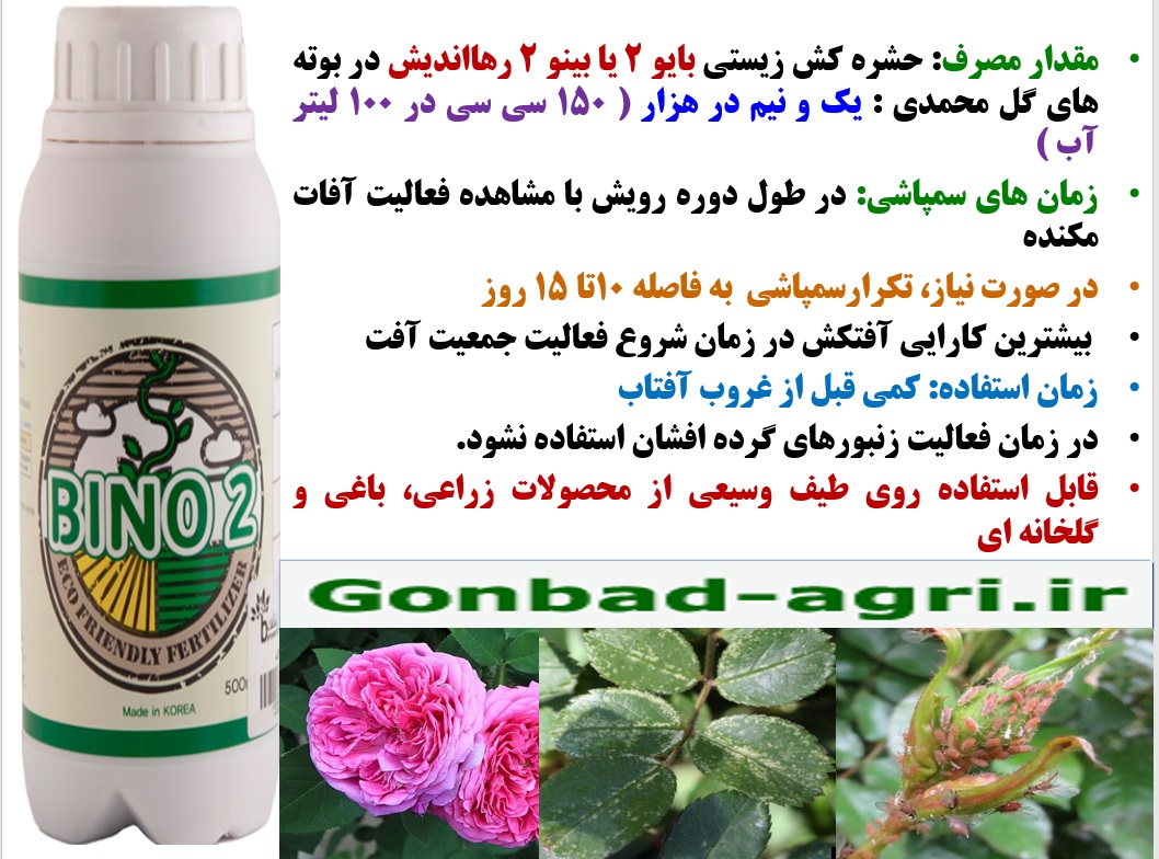 کنترل آفات بوته های گل محمدی با سم ارگانیک بایو۲ رهااندیش – قسمت دوم 80