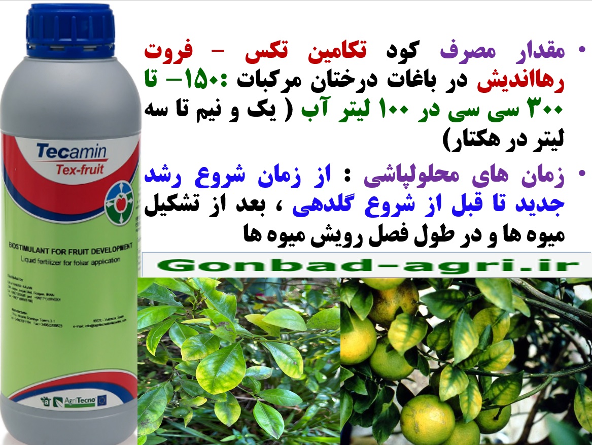 افزایش تولید میوه و کیفیت آن در درختان مرکبات با کود تکامین تکس فروت رهااندیش – قسمت دوم 86