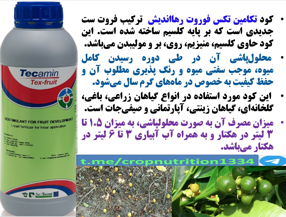 افزایش تولید میوه و کیفیت آن در درختان مرکبات با کود تکامین تکس فروت رهااندیش – قسمت سوم 85