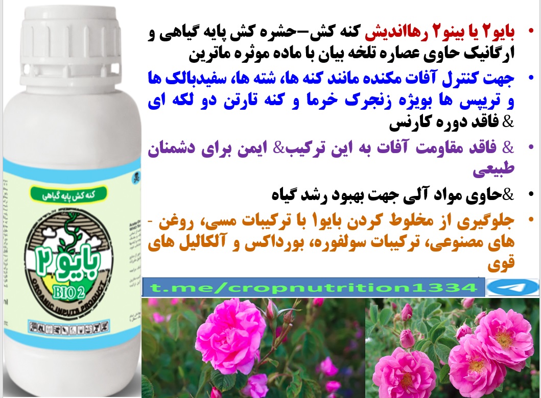 کنترل آفات بوته های گل محمدی با سم ارگانیک بایو۲ رهااندیش – قسمت سوم 79