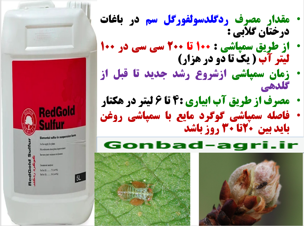کنترل آفات و بیماری های درختان گلابی با ردگلد سولفور گل سم – قسمت دوم 101