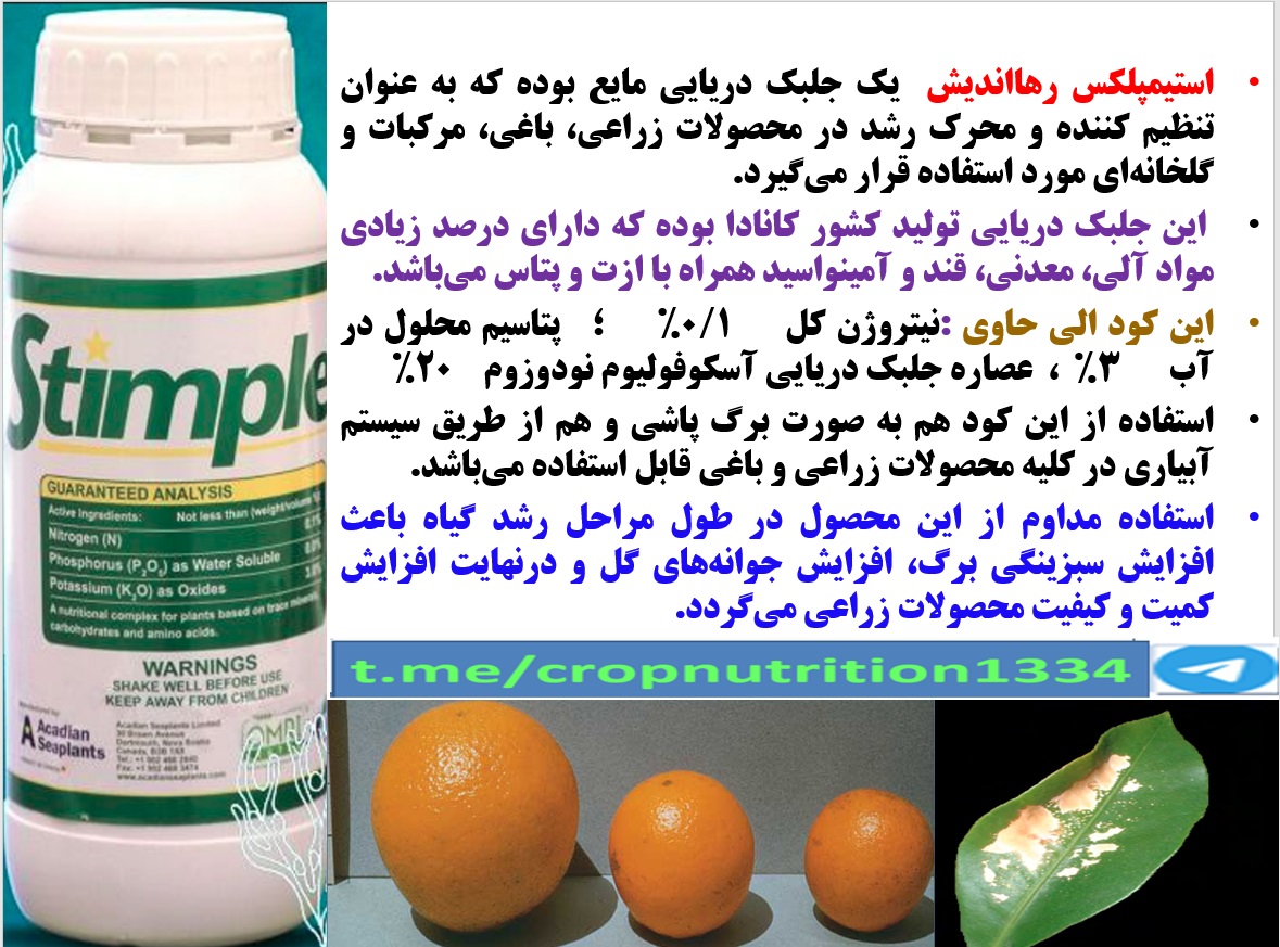افزایش توان میوه دهی درختان مرکبات با کود الی استیمپلکس رهااندیش – قسمت سوم 73