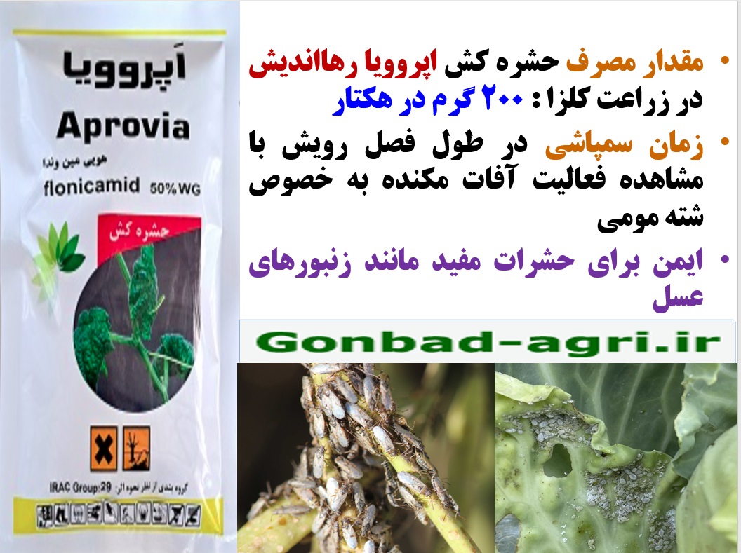 کنترل آفات مکنده زراعت کلزا با حشره کش اپروویا رهااندیش- قسمت دوم 77