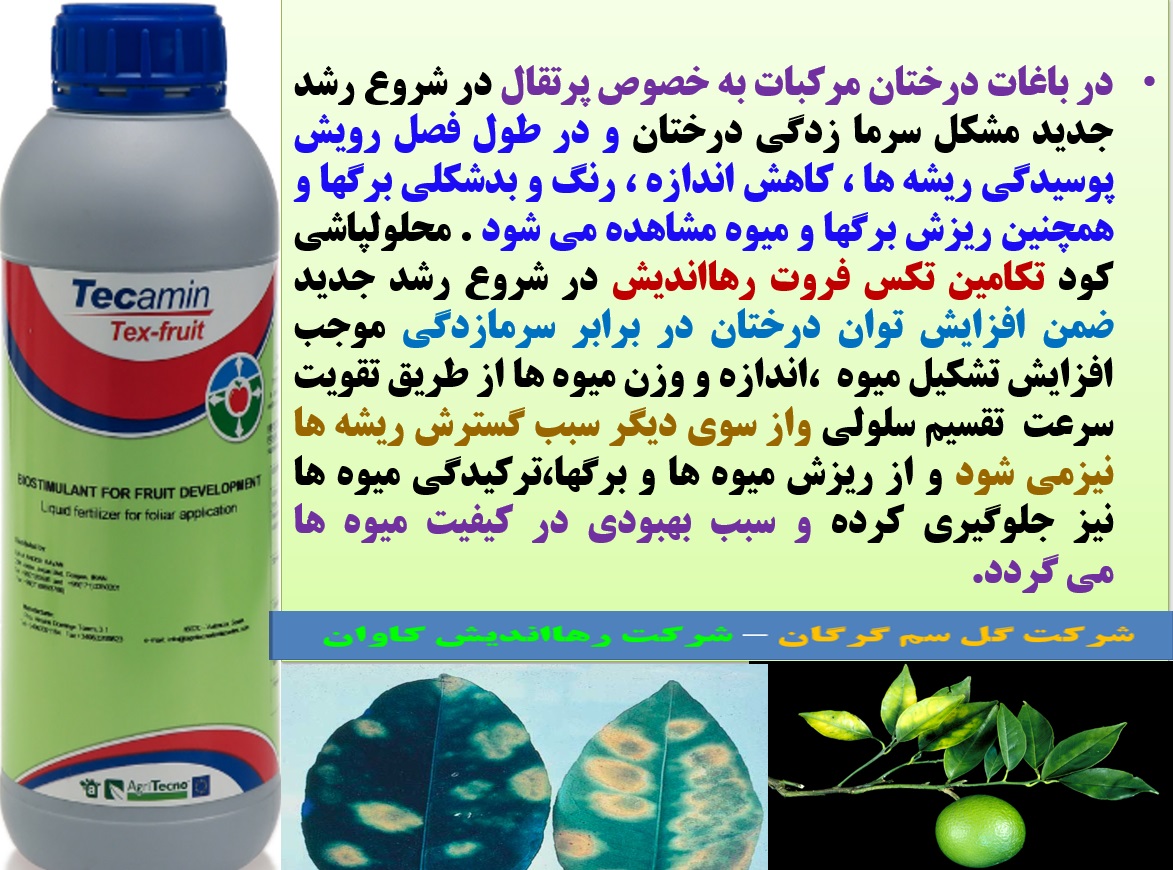 افزایش تولید میوه و کیفیت آن در درختان مرکبات با کود تکامین تکس فروت رهااندیش - قسمت اول 87