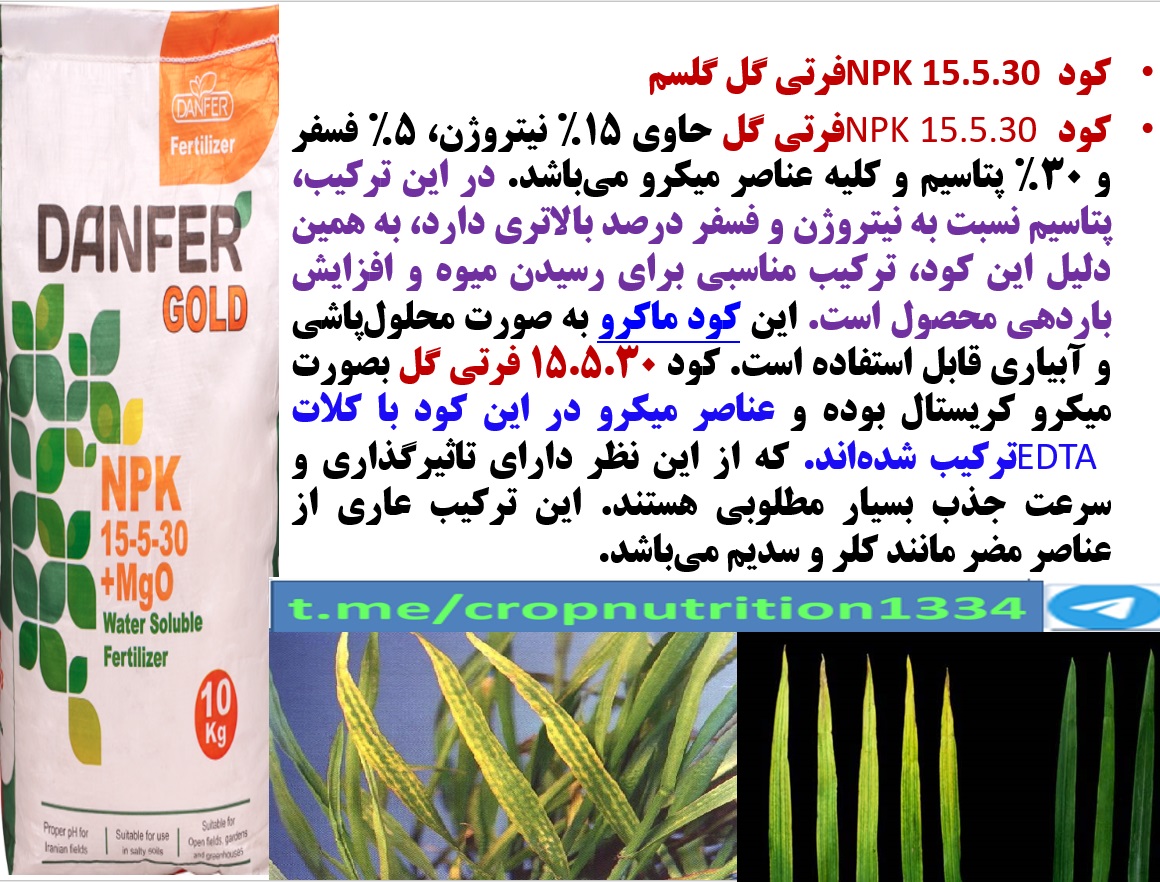 تقویت بوته های گندم و جو با کود فرتی گل ۳۰-۵-۱۵ گل سم – قسمت سوم 88