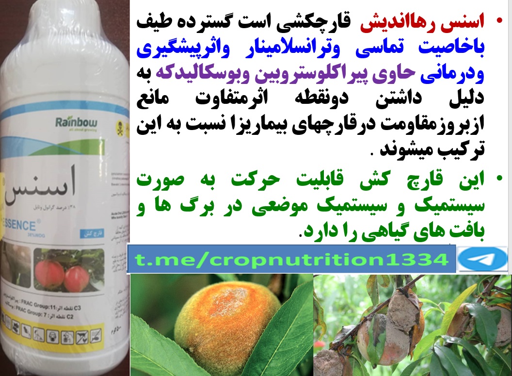 کنترل بیماری های درختان هلو و شلیل با قارچکش اسنس رهااندیش – قسمت سوم 64