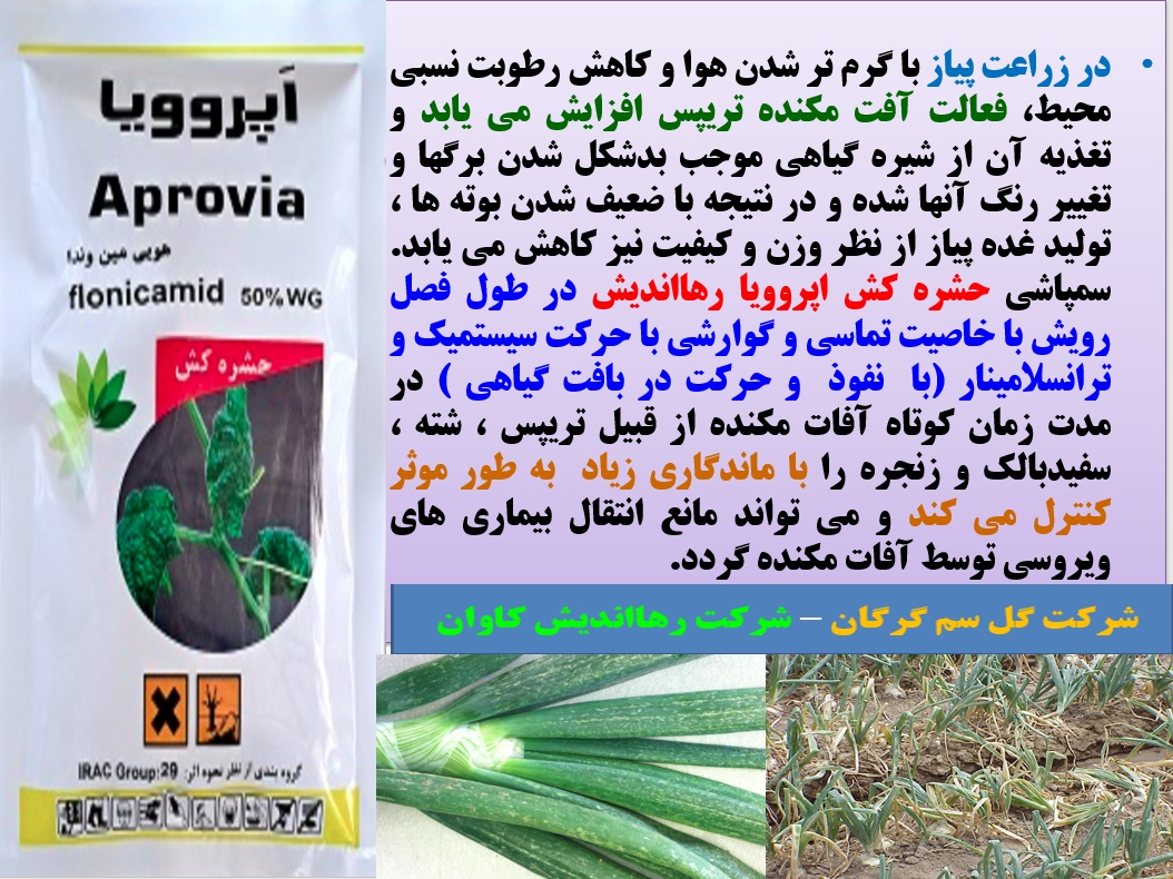 کنترل آفات مکنده پیاز با حشره کش اپروویا رهااندیش - قسمت اول 42