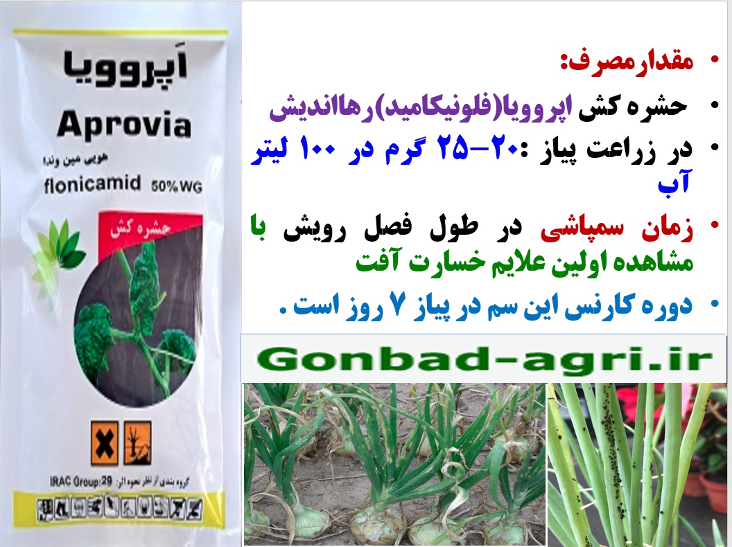 کنترل آفات مکنده پیاز با حشره کش اپروویا رهااندیش – قسمت دوم 41