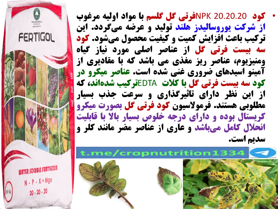کود فرتی گل ۲۰-۲۰-۲۰ گل سم برای افزایش توان بوته های سیب زمینی – قسمت سوم 67