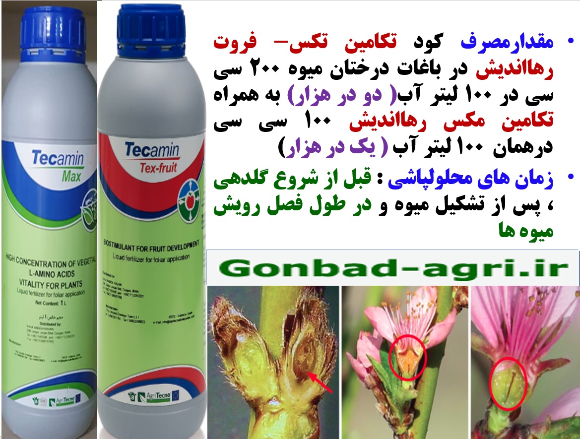 کاهش موثر سرمازدگی در درختان میوه با تکامین مکس و تکامین تکس – فروت رهااندیش – قسمت دوم 50
