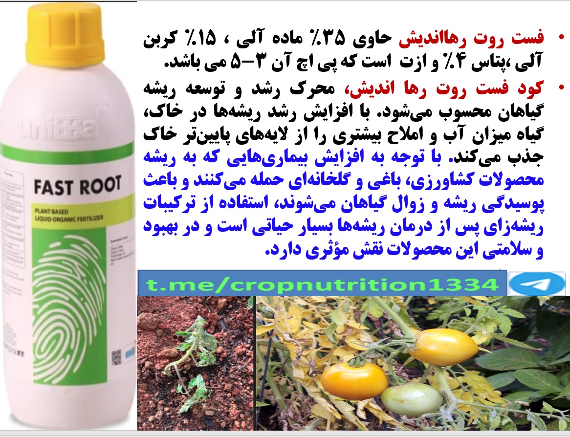 کود ریزمغذی میکسوبست کمپلکس رهااندیش برای تقویت میوه دهی درختان گلابی – قسمت سوم 34