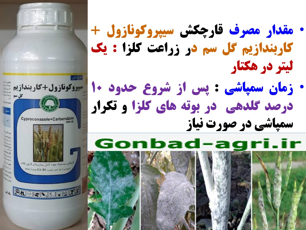 کنترل بیماری های کلزا با قارچکش سیپروکونازول+ کاربندازیم گل سم – قسمت دوم 44