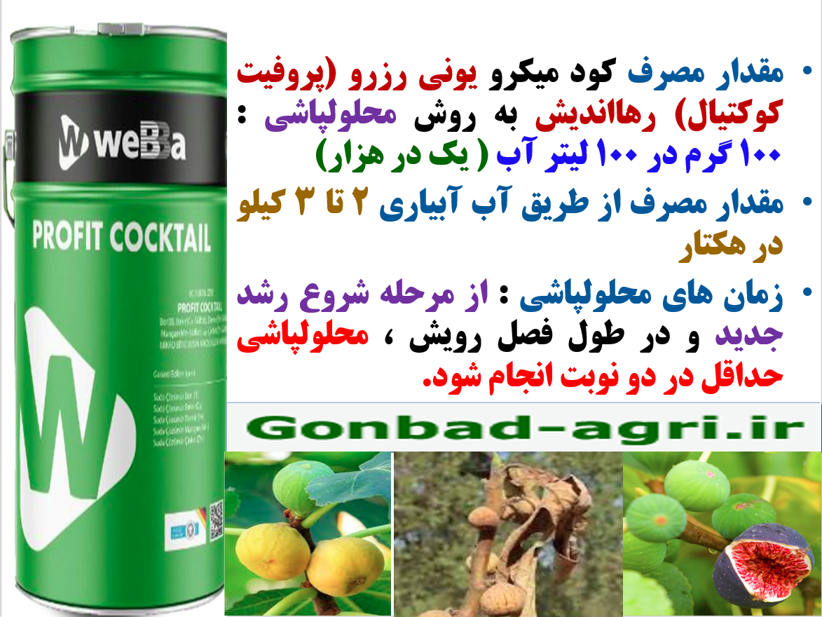 کود ریزمغذی یونی رزرو رهااندیش برای افزایش میوه دهی و کیفیت میوه انجیر – قسمت دوم 5