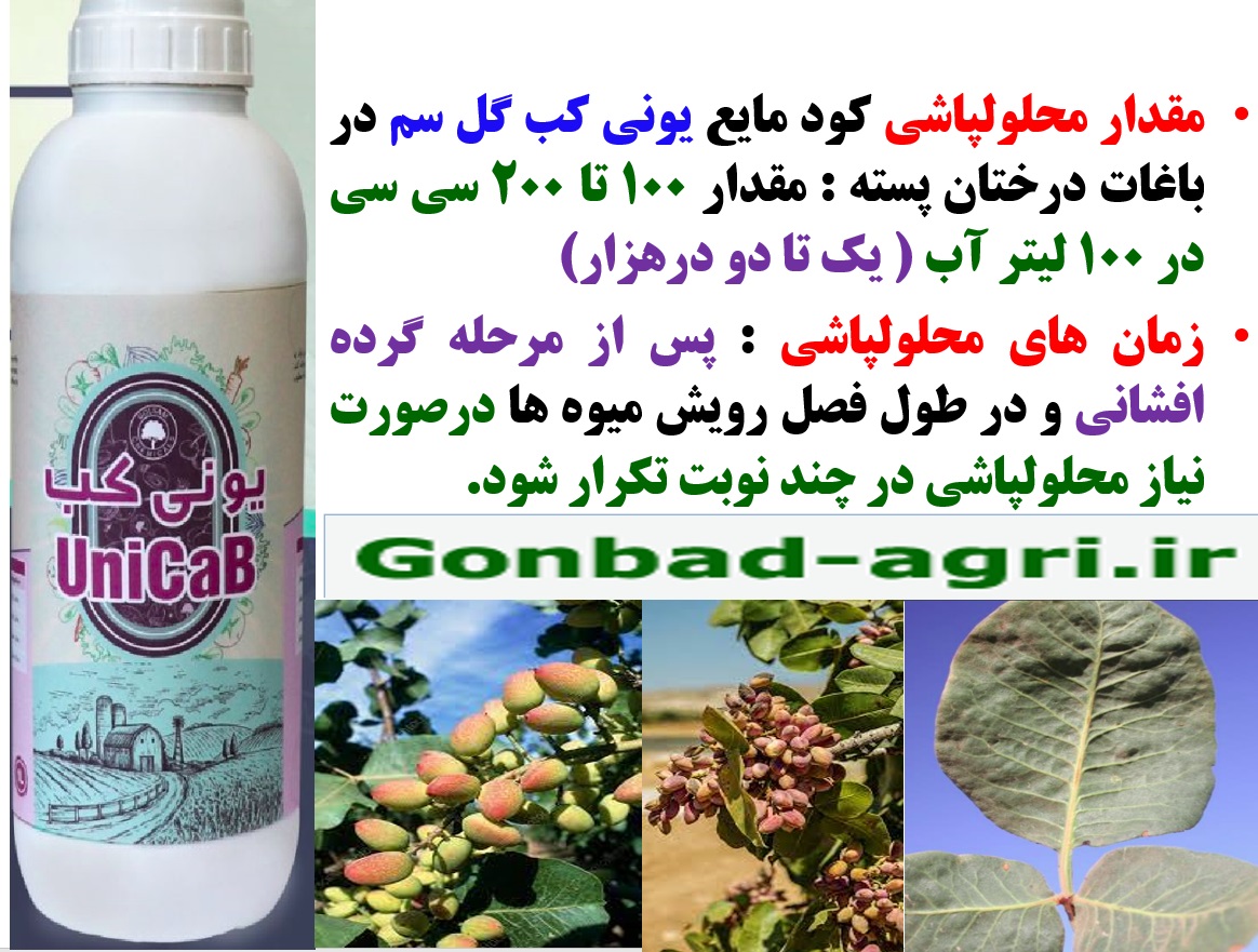 محلولپاشی کود یونی کب گل سم برای بهبودی در تولید و کیفیت میوه پسته – قسمت دوم 23