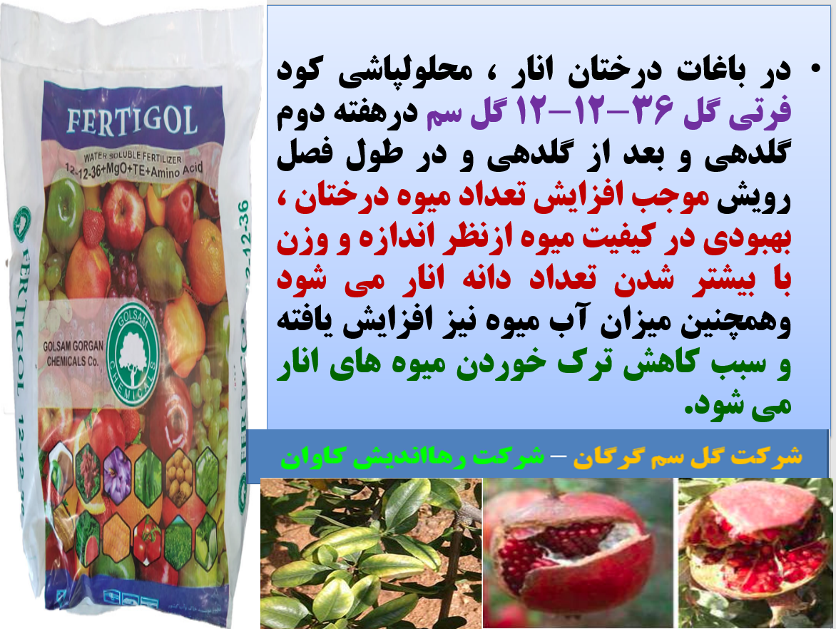 افزایش تولید و کیفیت میوه درختان انار با کود فرتی گل - گل سم - قسمت اول 18