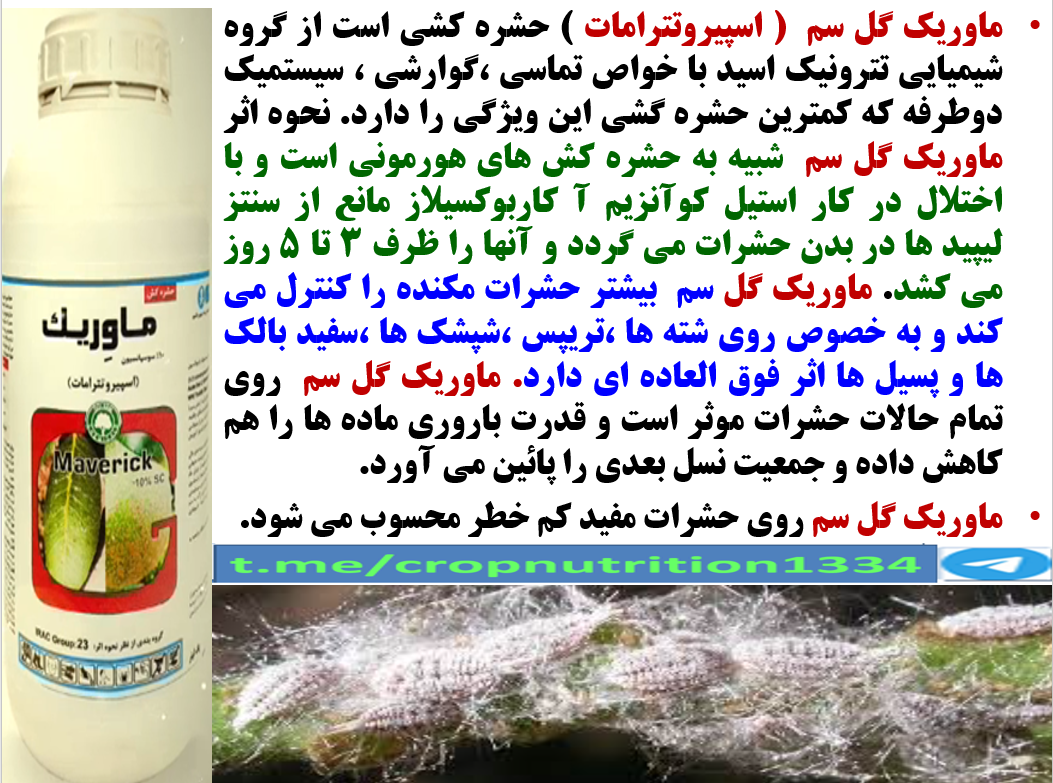 کنترل افات مکنده درختان پسته به خصوص پسیل با حشره کش ماوریک گل سم – قسمت سوم 1