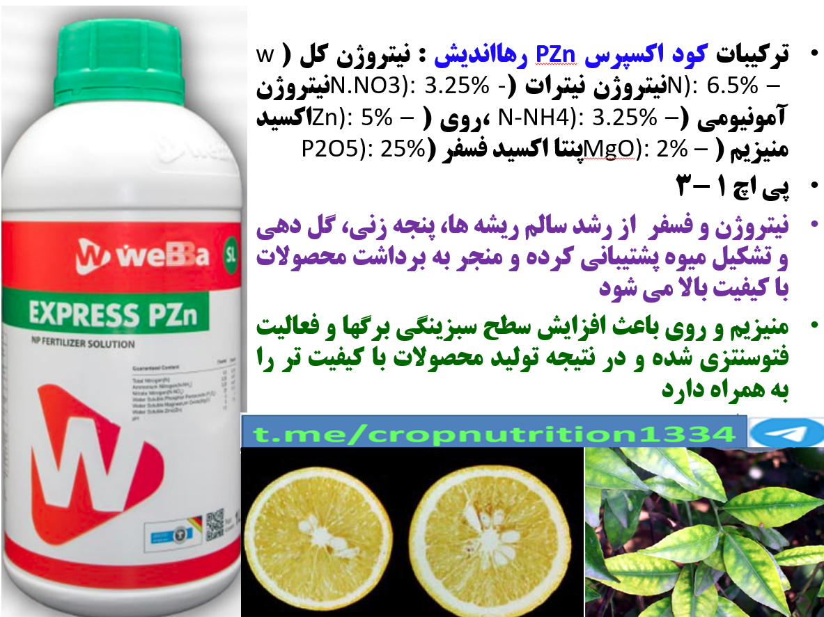 کود اکسپرس pzn رهااندیش در افزایش توان درختان مرکبات در تولید میوه – قسمت سوم 1