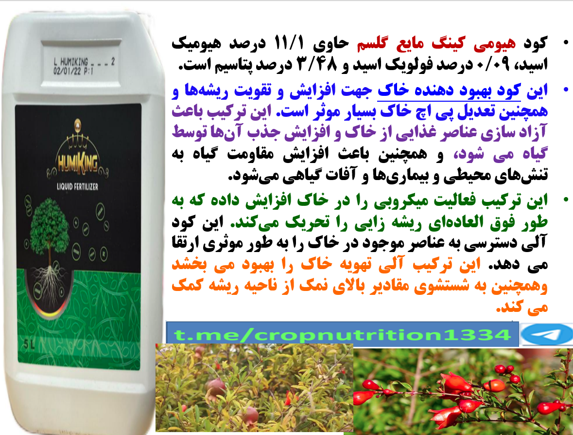 تاثیر کود آلی هیومی کینگ در گل سم در افزایش تولید میوه انار و کیفیت آن- قسمت سوم 7