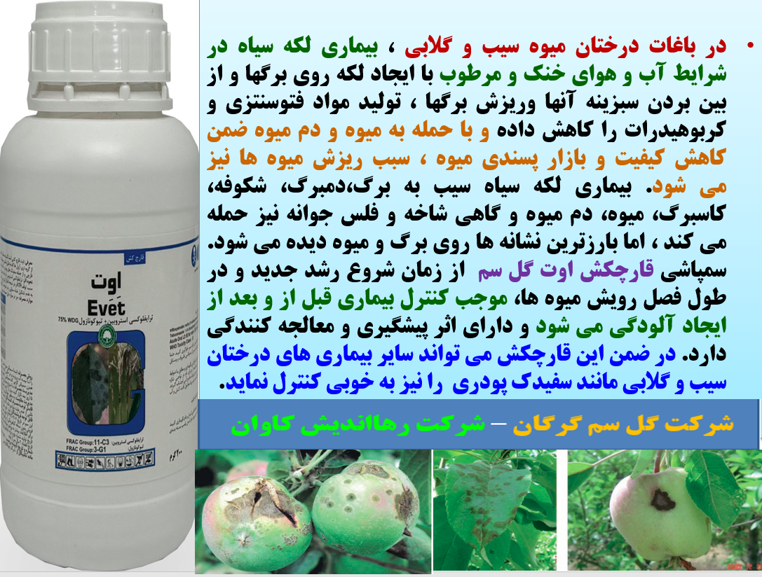 کنترل بیماری های درختان میوه سیب و گلابی با قارچکش اوت گل سم - قسمت اول 3