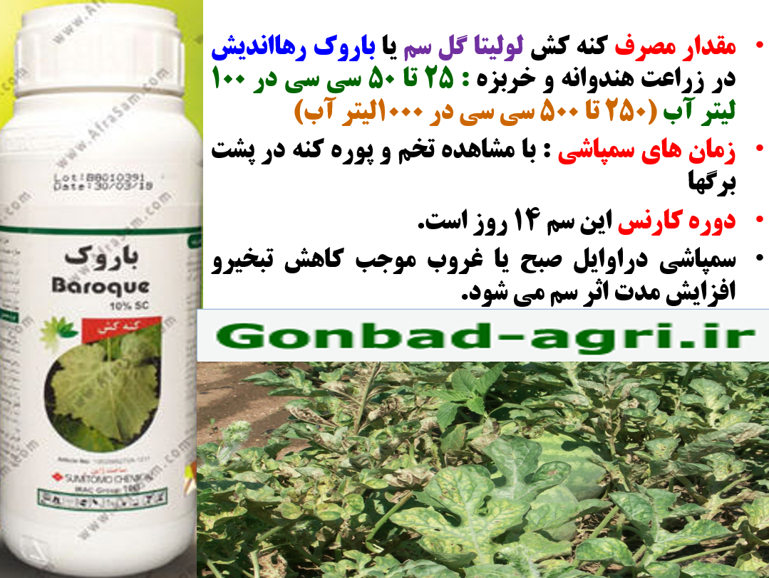 کنتر ل موثر کنه زراعت هندوانه با کنه کش لولیتا گل سم یا باروک رهااندیش – قسمت دوم 3