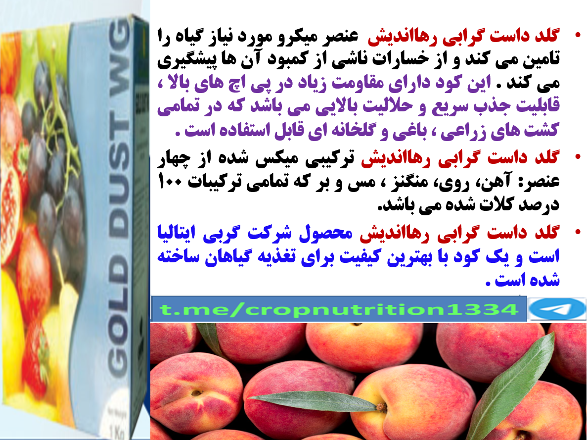 کود گلدداست رهااندیش در افزایش تولید میوه و کیفیت میوه درختان هلو و شلیل – قسمت سوم 2
