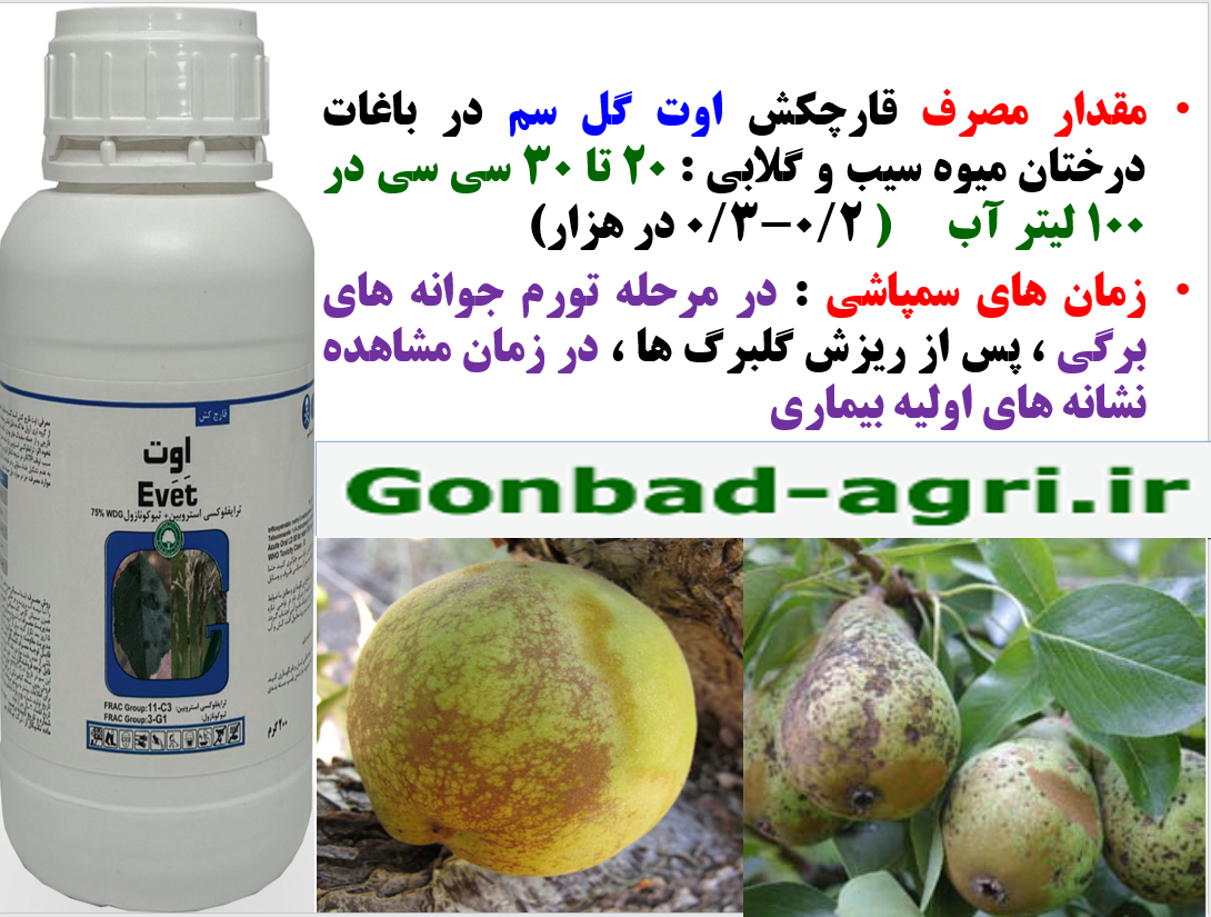 کنترل بیماری های درختان میوه سیب و گلابی با قارچکش اوت گل سم – قسمت دوم 2