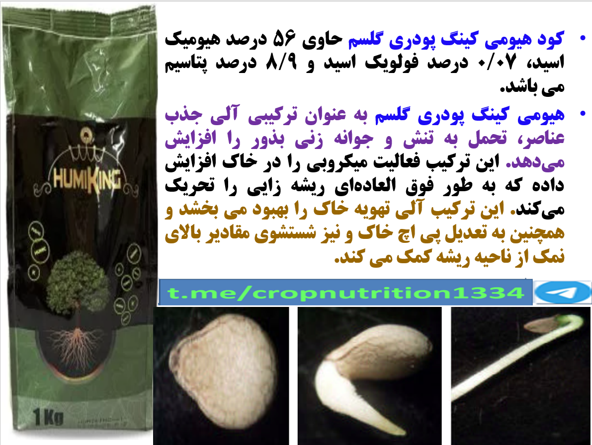 کاربرد کود آلی هیومی کینگ گل سم به عنوان بذر مال بذور کنجد – قسمت سوم 10