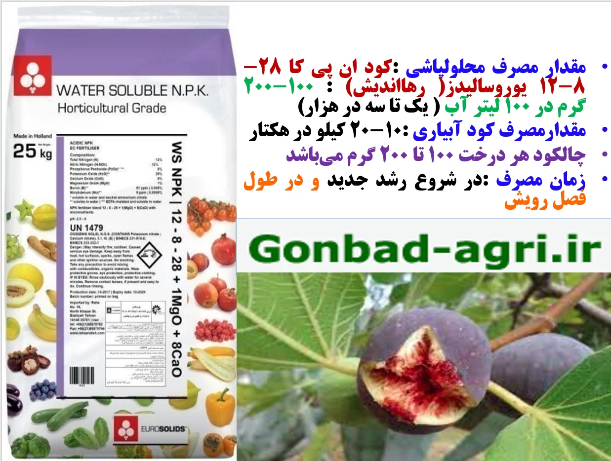 کود کامل یوروسالیدز برای درختان انجیر – قسمت دوم