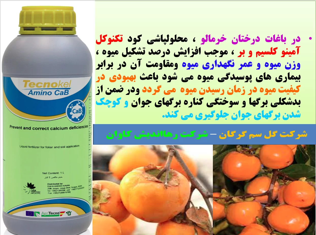 کودتکنوکل آمینو کلسیم-بر ،برای درختان خرمالو – قسمت اول