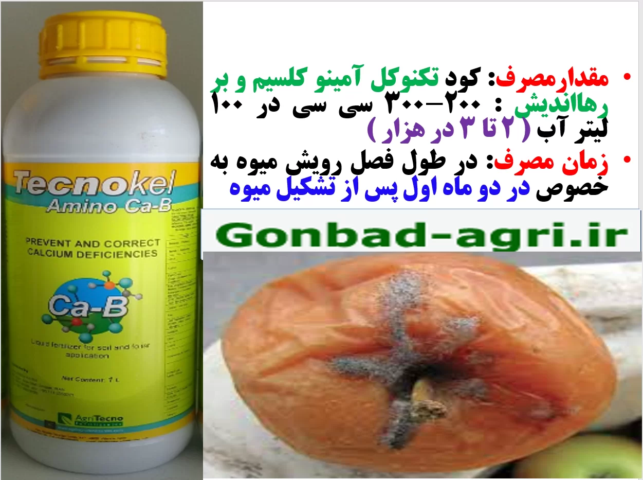 کودتکنوکل آمینو کلسیم-بر ،برای درختان خرمالو – قسمت دوم