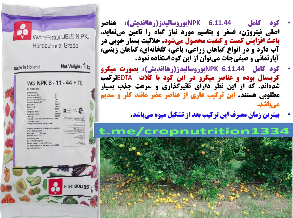 ریزش میوه مرکبات – کودیوروسالیدز- قسمت سوم