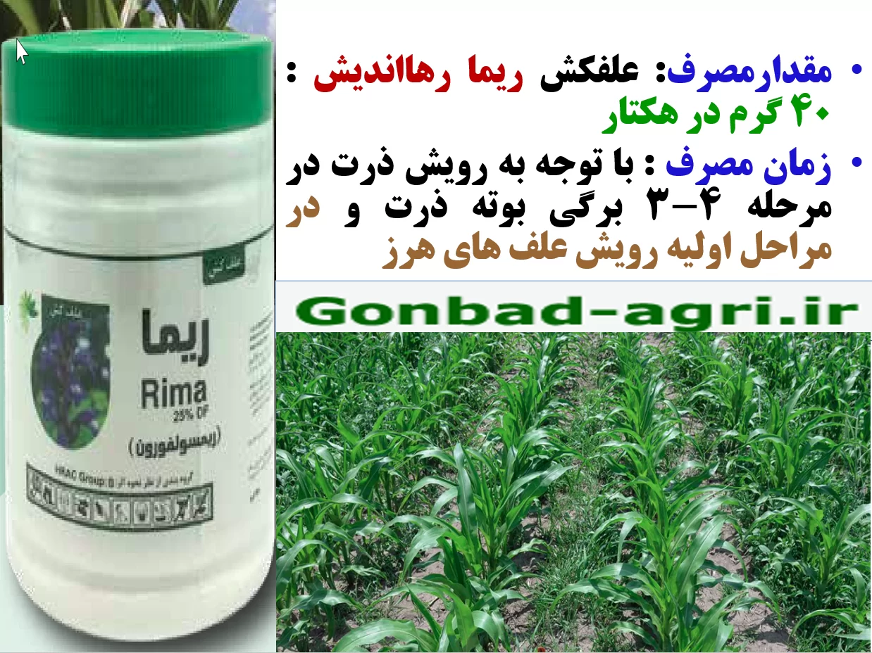 علفکش ریما- رهااندیش -زراعت ذرت – قسمت دوم