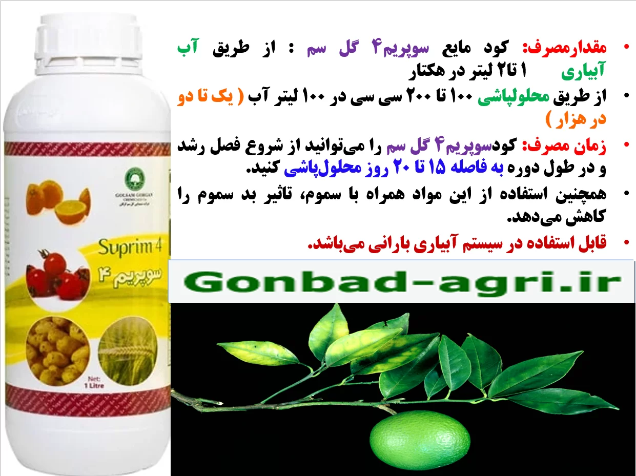 کود مایع سوپریم۴ – گل سم برای تقویت میوه دهی درختان مرکبات – قسمت دوم