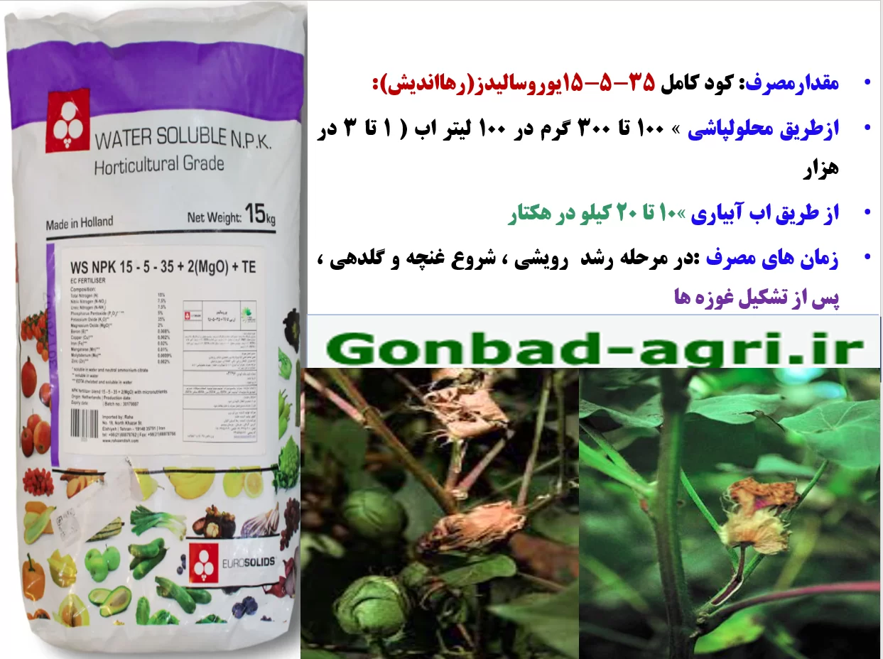 زراعت پنبه – کودیوروسالیدز- قسمت دوم