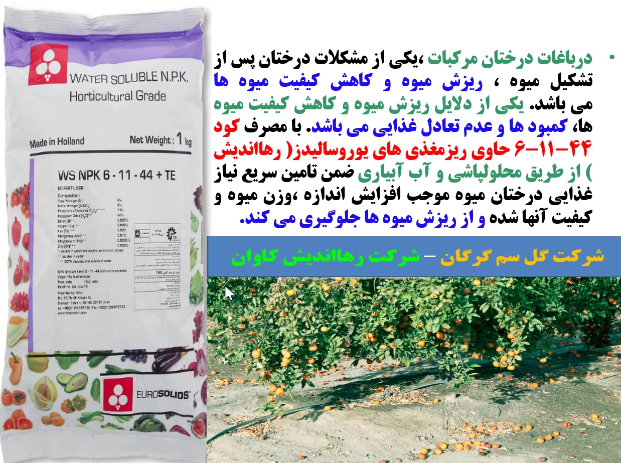 ریزش میوه مرکبات – کودیوروسالیدز- قسمت اول