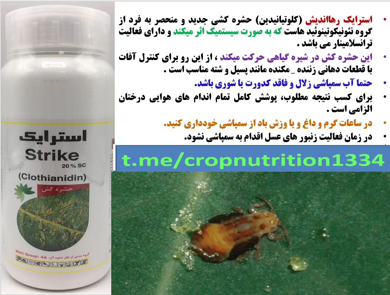حشره کش استرایک رهااندیش -افات پسته – قسمت سوم