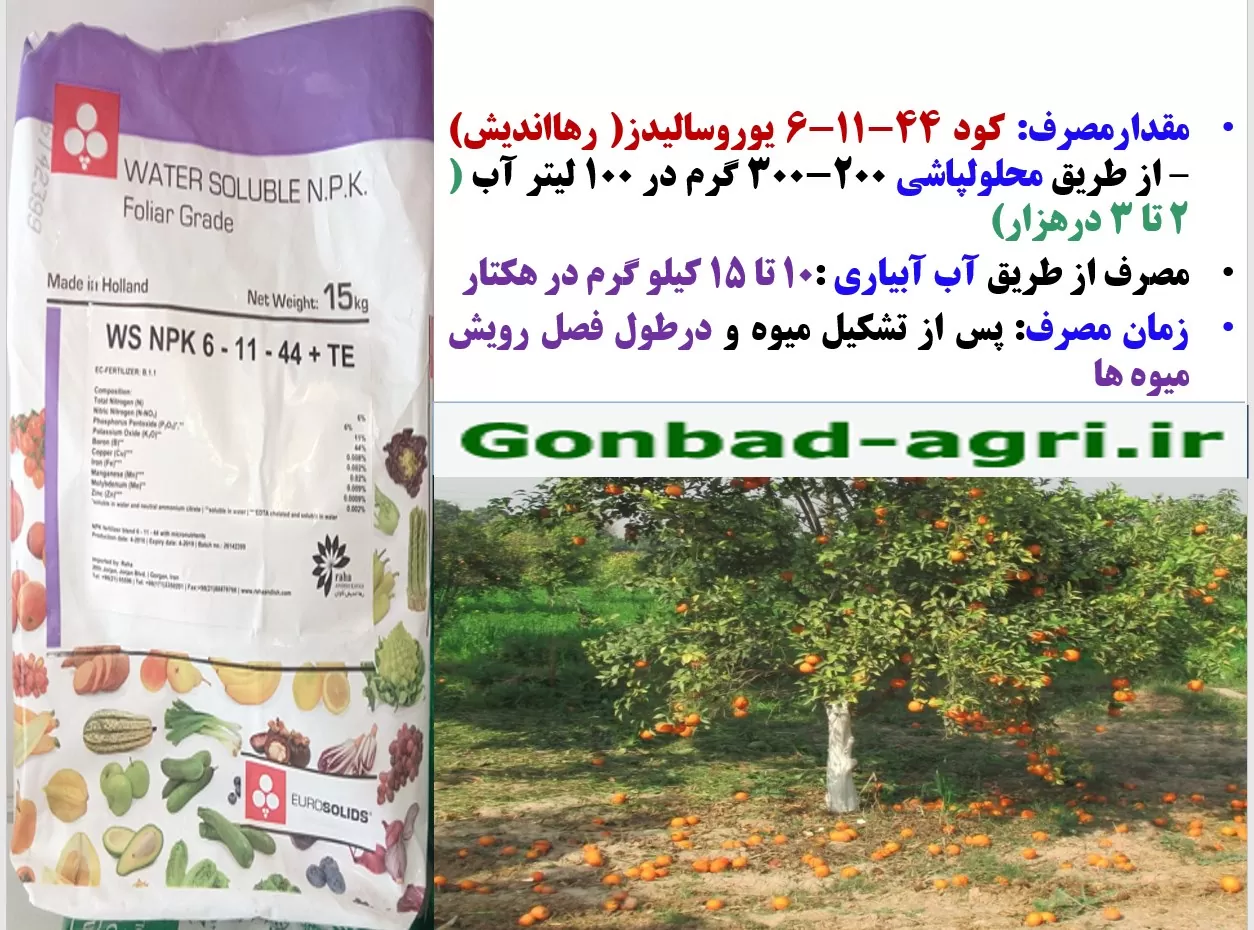 ریزش میوه مرکبات – کودیوروسالیدز- قسمت دوم