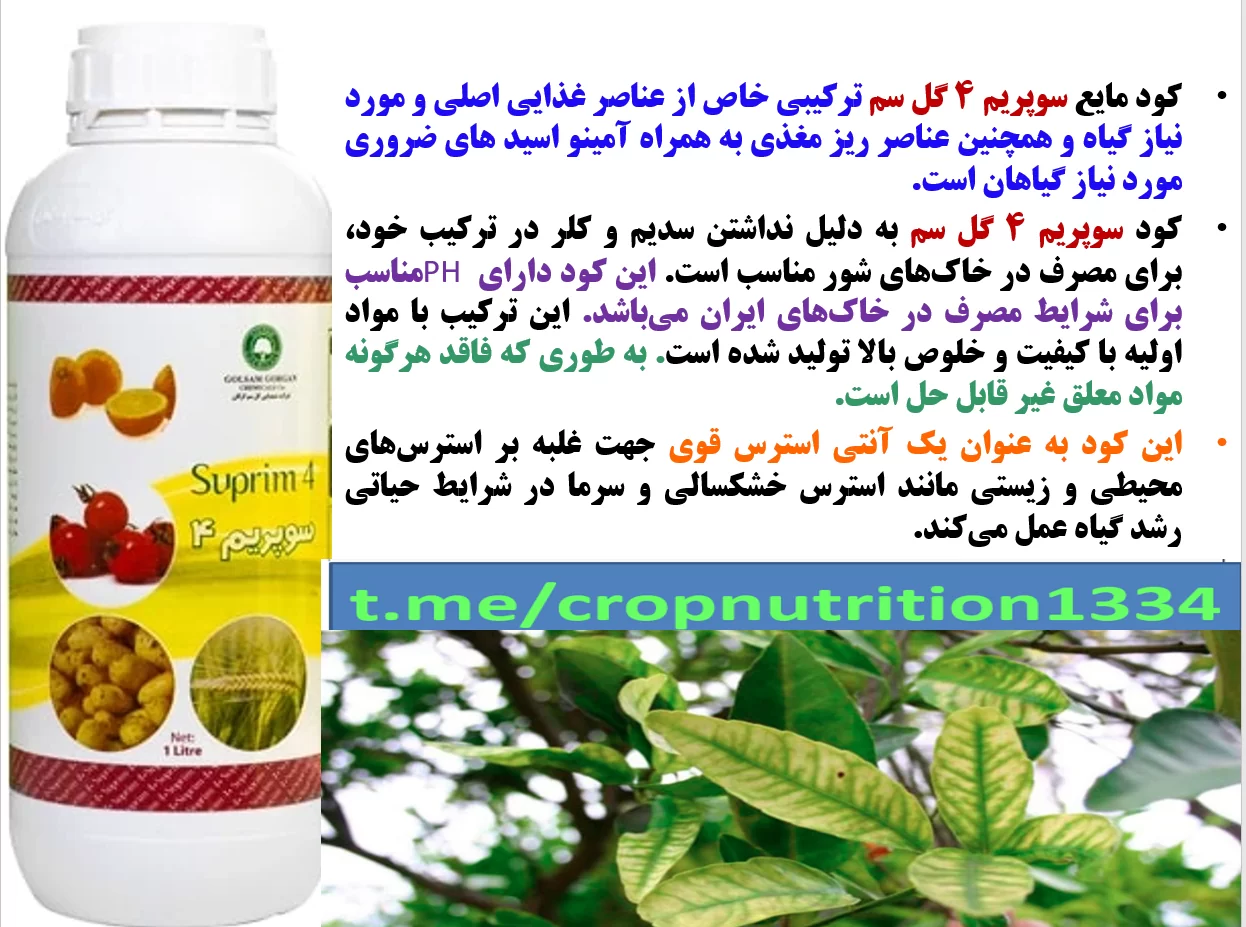 کود مایع سوپریم۴ – گل سم برای تقویت میوه دهی درختان مرکبات – قسمت سوم