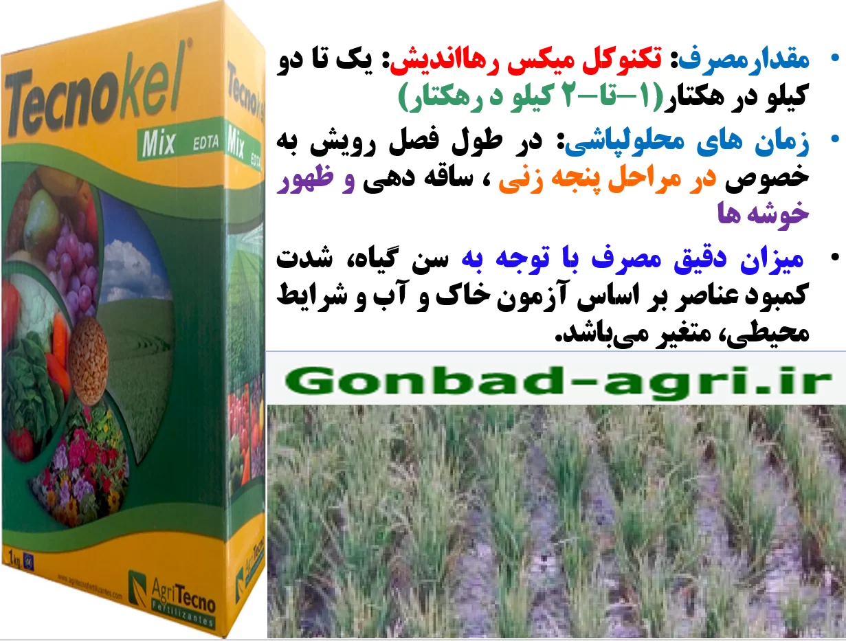 کود ریزمغذی تکنوکل میکس برای افزایش اجزا عملکرد برنج – قسمت دوم
